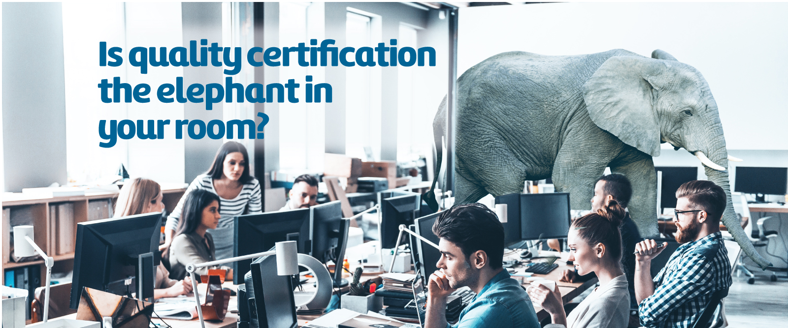 Lex Nimble Solutions Ltd Quality Certificate