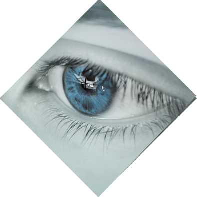 Lex Nimble Solutions Ltd vision And Mission